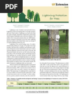 Lightning Protection for Trees
