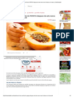 Beneficios de Las Semillas de PAPAYA Despues de Esto Nunca Mas La Botaras a La Basura _ IVidaSaludable