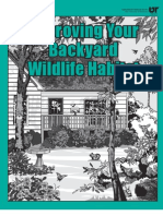 Improving Your Backyard Wildlife Habitat