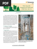 CODIT Model: Tree Decay Compartmentalization | PDF | Trees | Plant Stem