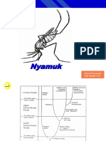 Nyamuk