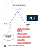 teoria de aceros.pdf