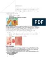 LAS INFECCIONES DE TRANSMISIÓN SEXUAL ITS.docx