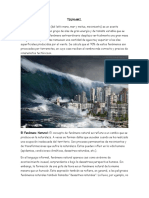 Informe Sobre El Tsunami