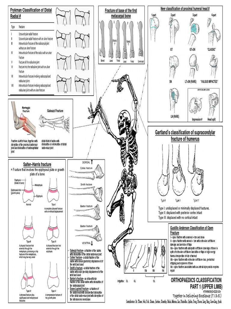 Orthopaedics Classification PDF | PDF | Vertebral Column | Vertebra