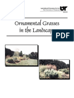 Ornamental Grasses in the Landscape