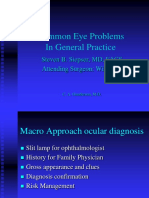 Common Eye Problems and Diagnosisv.5-1