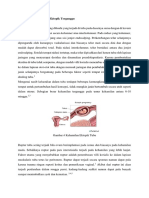 Patofisiologi Kehamilan Ektopik Terganggu