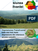 Depresiunea Transilvaniei Lectie Si Exercitii