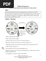 cellular respiration pogil honors