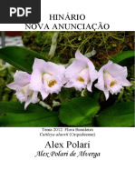 DAIME - Alex Polari - Nova Anunciacao
