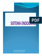 Sistema End