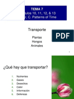 BG 7 transporte 