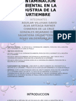 Contaminación Ambiental en La Industria de La Curtiembre