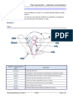 Answers: Plant Reproduction - Pollination and Fertilisation Teaching Notes