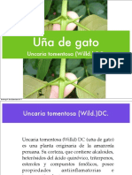 Plantas Antirreumaticas PDF