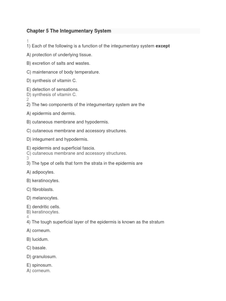 worksheet Integumentary System Worksheet Answers chapter 5 the integumentary system epidermis skin