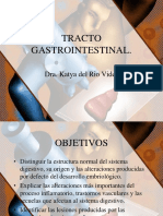 Clase No 15 Tracto Digestivo Vesicula Biliar Pancreas