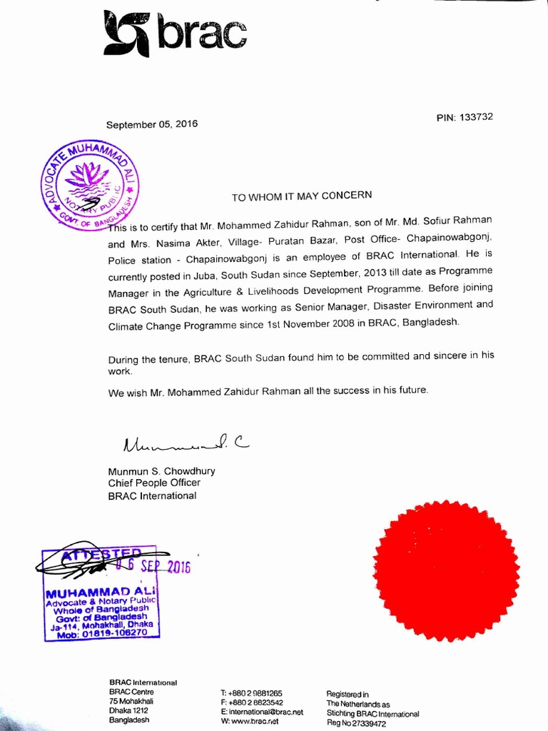 BRAC Work Experience PDF