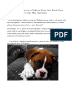 Si alguna vez ves a tu perro.pdf