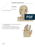 Key_Sensory_Points.pdf