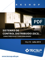 DCS.pdf