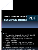 Campak Rubella PP