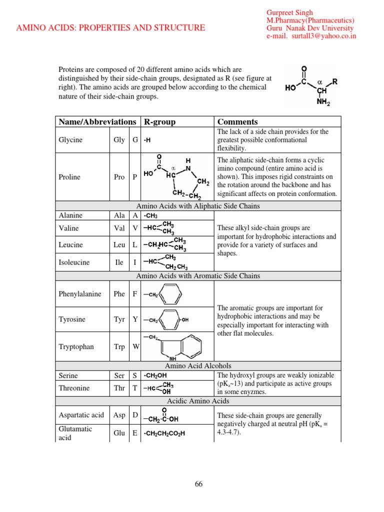 Amino Acids Properties and Structure PDF | Descargar gratis PDF ...