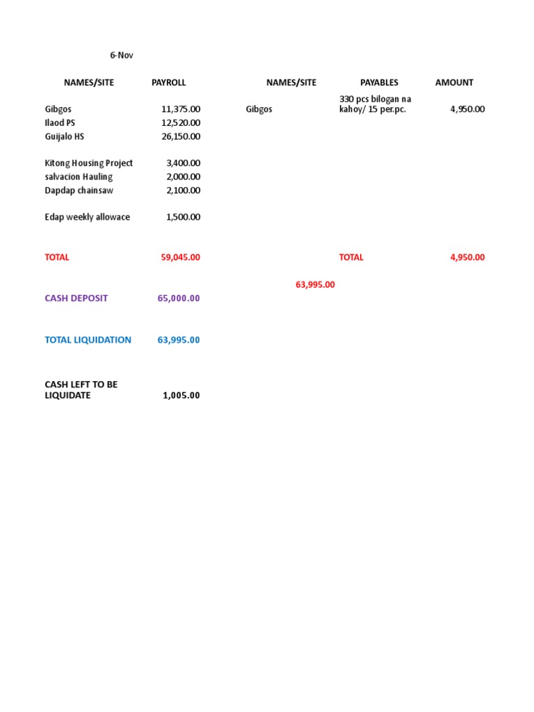 Payroll and Payables Summary Report | PDF | Science & Mathematics
