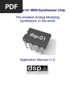 dsp-G1 Manual v1.0