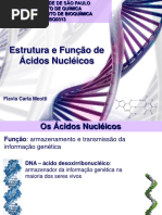Estrutura_e_Funcao_de_Acidos_Nucleicos.pdf