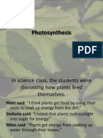 photosynthesis