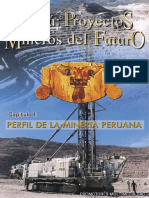 Peruvian Mining project for the future.pdf