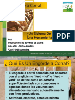 Engorde A Corral 2008 1223250651828319 8