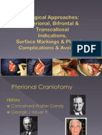 16640868-Surgical-Approaches.ppt