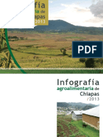 Chiapas eBook