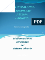 6 SIST. RENAL; Malformaciones Congénitas