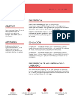 SN curriculum  modelo