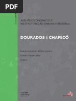 Agentes Economicos-Dourados e Chapeco
