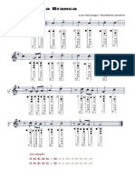 Asa Branca e Letra Com Notas Na Flauta PDF