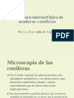 Estructura Micróscopica de Coníferas