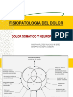 43020902 Fisiopatologia Del Dolor Ppt Share