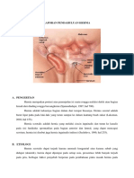 LP HERNIA