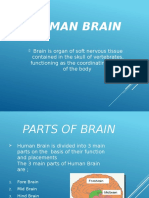 human-brain-160110211748