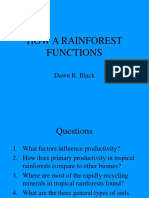 How A Rainforest Functions: Dawn R. Black