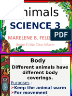 Body Covering of Animals