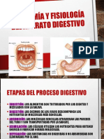 Sistema Digestivo Francis Collins