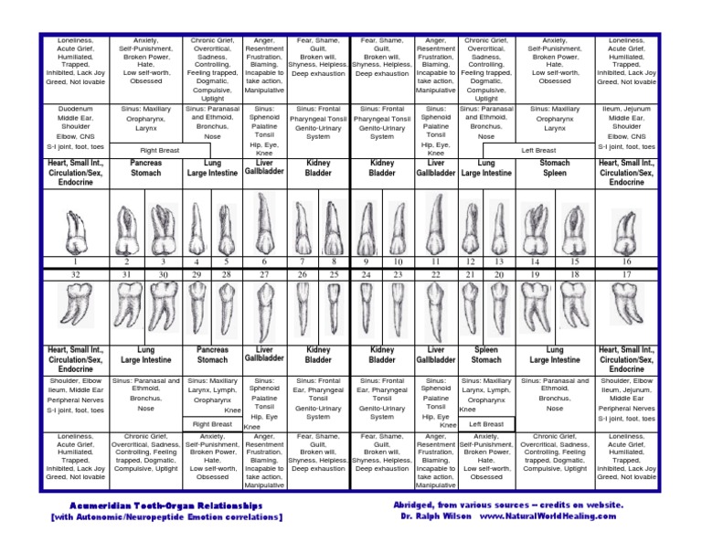 Tooth Organ Emotions | PDF | Gallbladder | Human Anatomy
