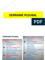 Derramepleuralok2 130203210516 Phpapp02