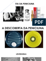 A Descoberta Da Penicilina